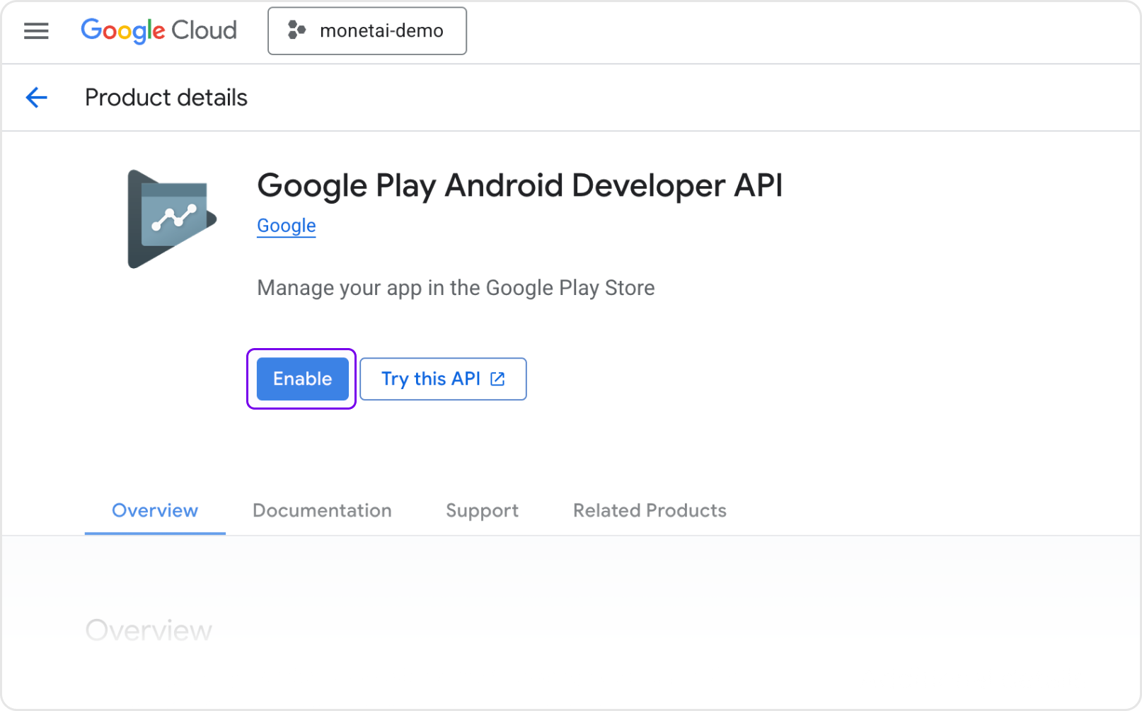 Enable Google Developer API